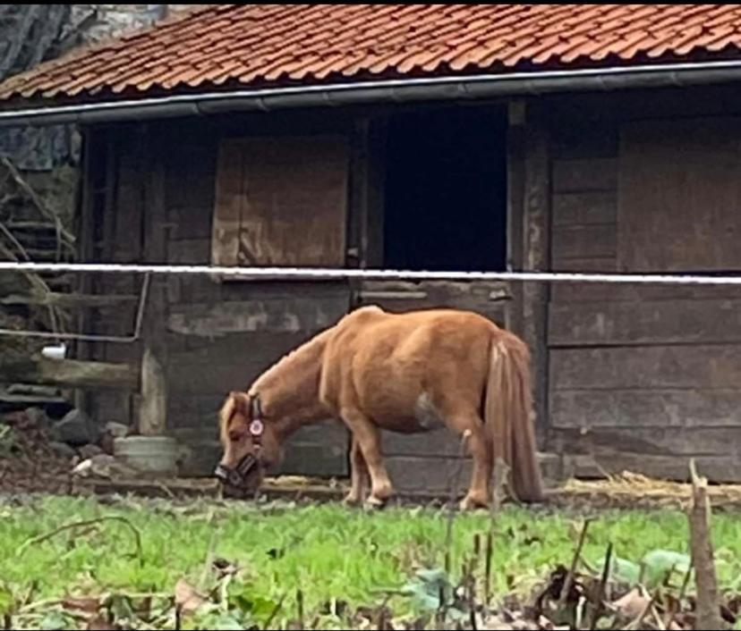 Le Ranch Des Aguesses Villa Andenne Buitenkant foto