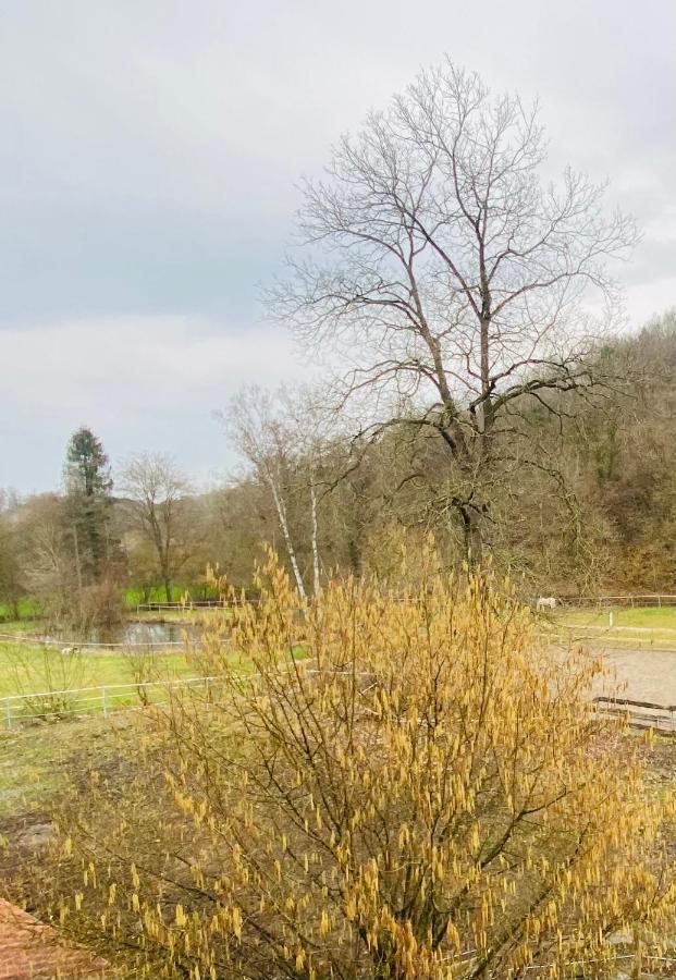 Le Ranch Des Aguesses Villa Andenne Buitenkant foto