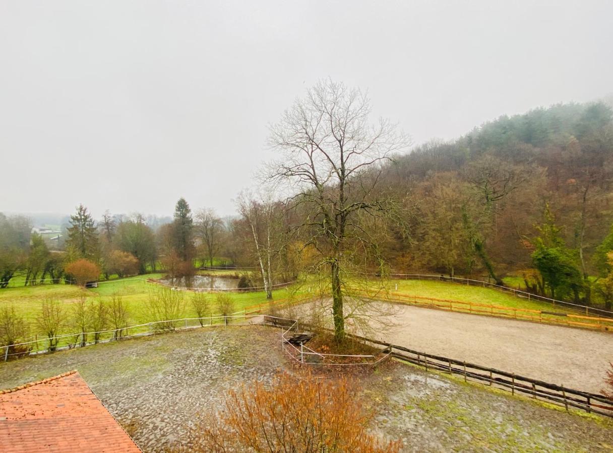 Le Ranch Des Aguesses Villa Andenne Buitenkant foto