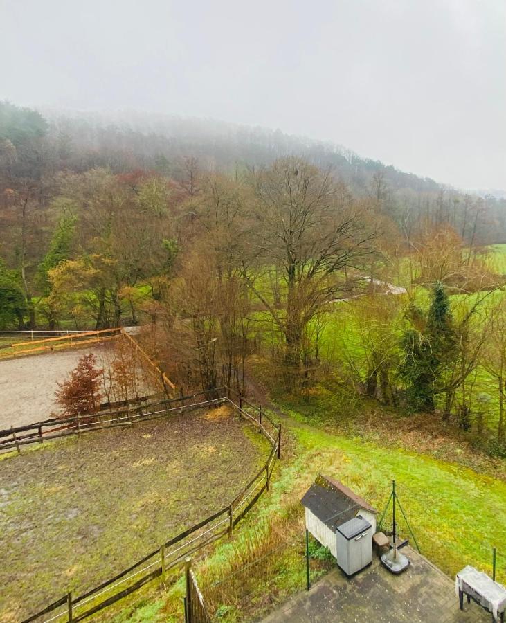 Le Ranch Des Aguesses Villa Andenne Buitenkant foto