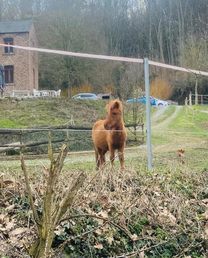 Le Ranch Des Aguesses Villa Andenne Buitenkant foto